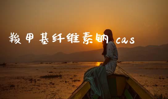 羧甲基纤维素钠 cas (https://huagong.lansai.wang/) 甲基化工 第1张