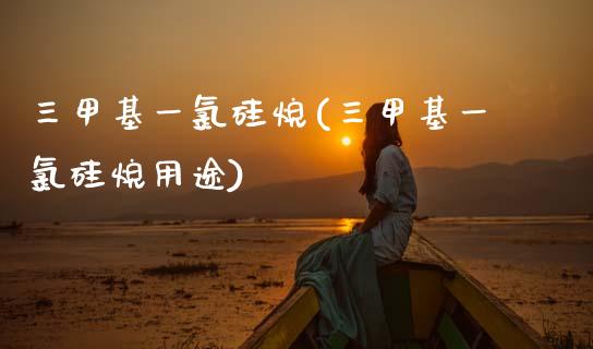 三甲基一氯硅烷(三甲基一氯硅烷用途) (https://huagong.lansai.wang/) 甲基化工 第1张