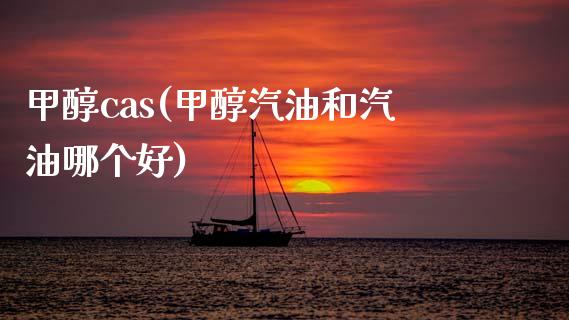 甲醇cas(甲醇汽油和汽油哪个好) (https://huagong.lansai.wang/) 甲醇 第1张