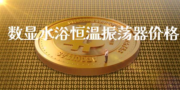 数显水浴恒温振荡器价格 (https://huagong.lansai.wang/) 化工价格 第1张