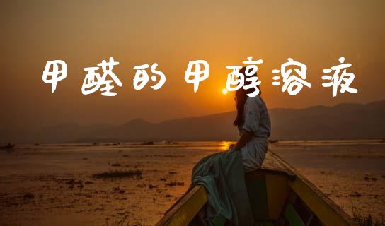 甲醛的甲醇溶液 (https://huagong.lansai.wang/) 甲醇 第1张