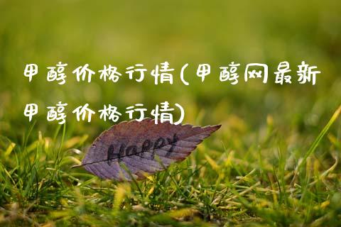 甲醇价格行情(甲醇网最新甲醇价格行情) (https://huagong.lansai.wang/) 甲醇 第1张