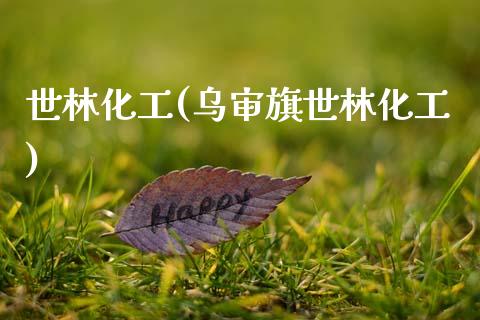 世林化工(乌审旗世林化工) (https://huagong.lansai.wang/) 化工行情 第1张