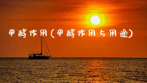 甲醇作用(甲醇作用与用途) (https://huagong.lansai.wang/) 甲醇 第1张