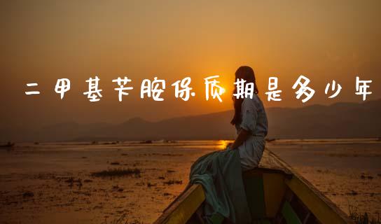 二甲基苄胺保质期是多少年 (https://huagong.lansai.wang/) 甲基化工 第1张