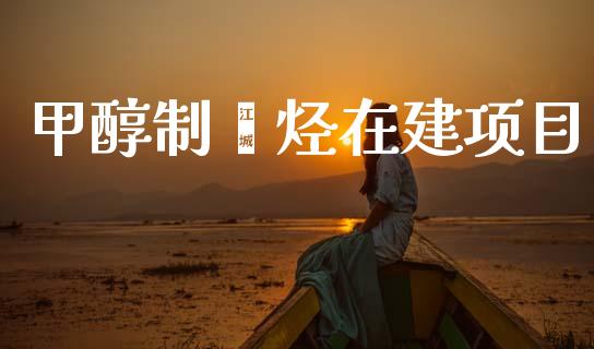 甲醇制烯烃在建项目 (https://huagong.lansai.wang/) 甲醇 第1张