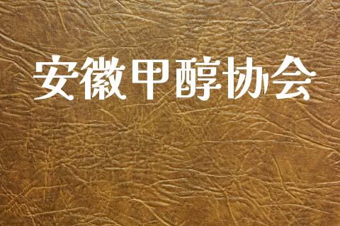安徽甲醇协会 (https://huagong.lansai.wang/) 甲醇 第1张
