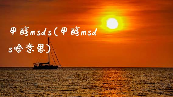 甲醇msds(甲醇msds啥意思) (https://huagong.lansai.wang/) 甲醇 第1张