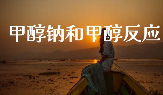 甲醇钠和甲醇反应 甲醇 第1张-化工行情,甲基化工,甲醇msds-起点化工网 甲醇钠和甲醇反应 (https://huagong.lansai.wang/) 甲醇 第1张