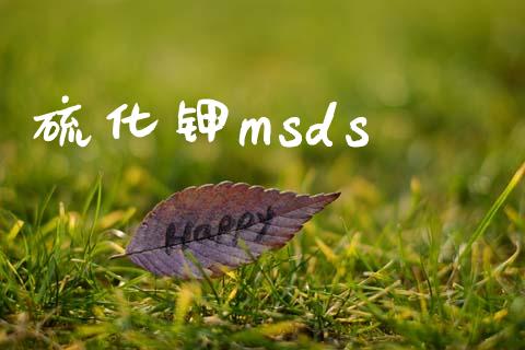 硫化钾msds (https://huagong.lansai.wang/) msds 第1张