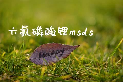 六氟磷酸锂msds (https://huagong.lansai.wang/) msds 第1张