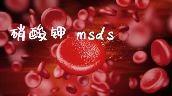 硝酸钾 msds (https://huagong.lansai.wang/) msds 第1张