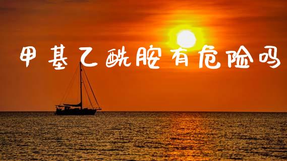甲基乙酰胺有危险吗 (https://huagong.lansai.wang/) 甲基化工 第1张