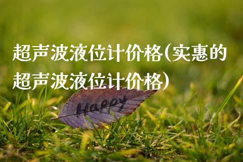 超声波液位计价格(实惠的超声波液位计价格) (https://huagong.lansai.wang/) 化工价格 第1张