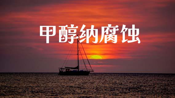甲醇纳腐蚀 (https://huagong.lansai.wang/) 甲醇 第1张