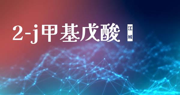 2-j甲基戊酸酐 (https://huagong.lansai.wang/) 甲基化工 第1张