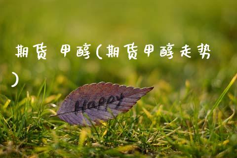 期货 甲醇(期货甲醇走势) (https://huagong.lansai.wang/) 甲醇 第1张