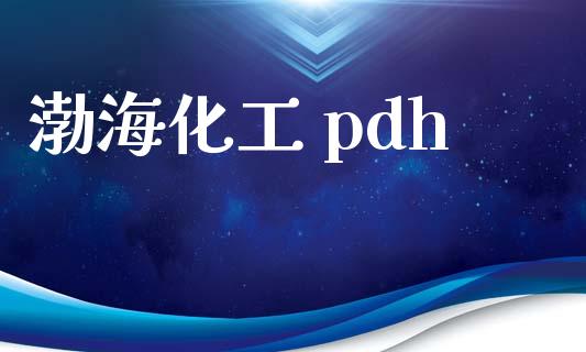 渤海化工 pdh (https://huagong.lansai.wang/) 化工行情 第1张