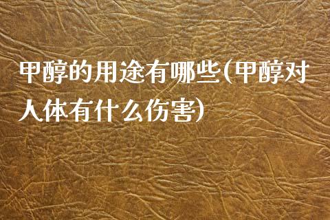 甲醇的用途有哪些(甲醇对人体有什么伤害) (https://huagong.lansai.wang/) 甲醇 第1张