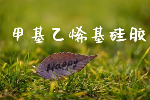 甲基乙烯基硅胶 (https://huagong.lansai.wang/) 甲基化工 第1张