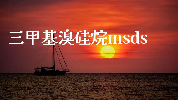 三甲基溴硅烷msds (https://huagong.lansai.wang/) msds 第1张