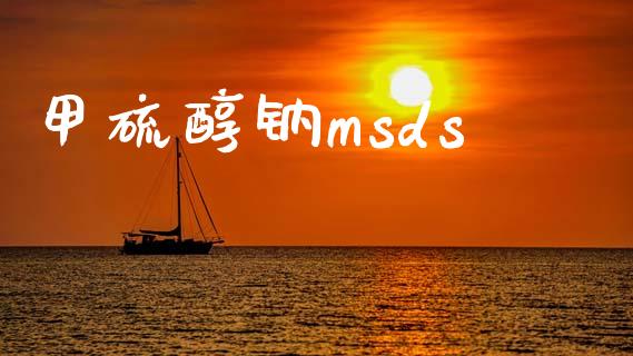 甲硫醇钠msds (https://huagong.lansai.wang/) msds 第1张