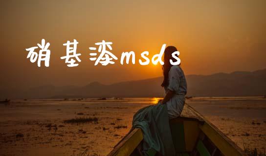 硝基漆msds (https://huagong.lansai.wang/) msds 第1张