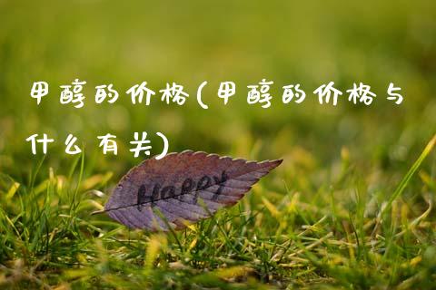 甲醇的价格(甲醇的价格与什么有关) (https://huagong.lansai.wang/) 甲醇 第1张