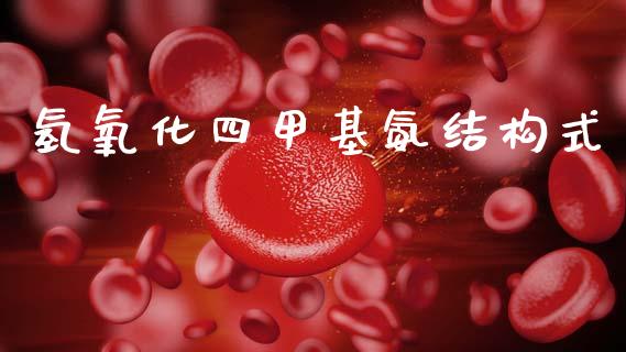 氢氧化四甲基氨结构式 (https://huagong.lansai.wang/) 甲基化工 第1张