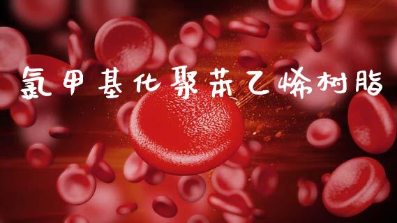氯甲基化聚苯乙烯树脂 (https://huagong.lansai.wang/) 甲基化工 第1张