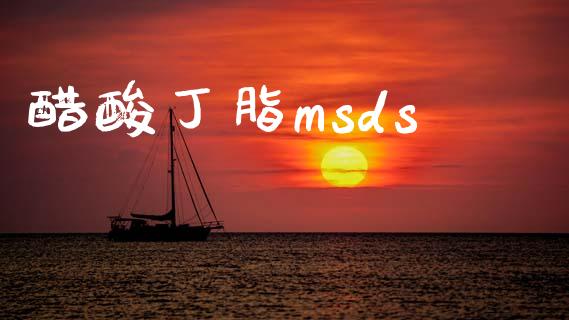 醋酸丁脂msds (https://huagong.lansai.wang/) msds 第1张