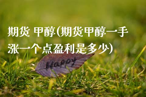 期货 甲醇(期货甲醇一手涨一个点盈利是多少) (https://huagong.lansai.wang/) 甲醇 第1张