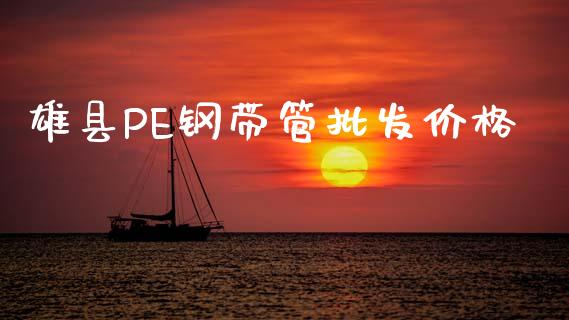 雄县PE钢带管批发价格 (https://huagong.lansai.wang/) 化工价格 第1张