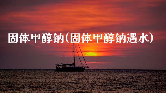 固体甲醇钠(固体甲醇钠遇水) (https://huagong.lansai.wang/) 甲醇 第1张