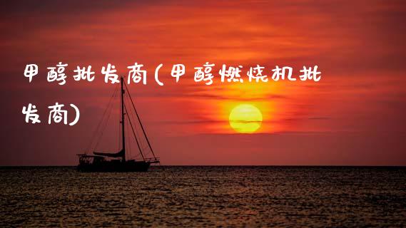 甲醇批发商(甲醇燃烧机批发商) (https://huagong.lansai.wang/) 甲醇 第1张