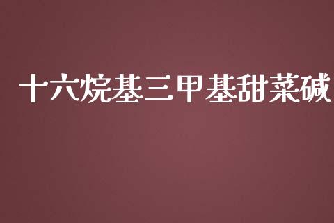 十六烷基三甲基甜菜碱 (https://huagong.lansai.wang/) 甲基化工 第1张