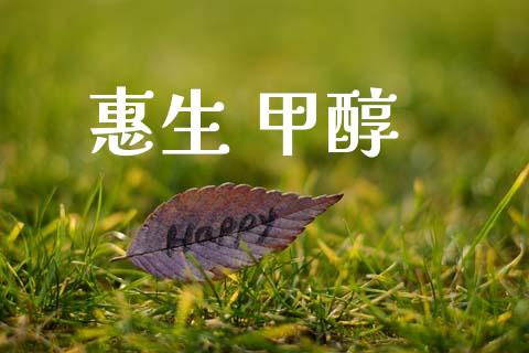 惠生 甲醇 (https://huagong.lansai.wang/) 甲醇 第1张