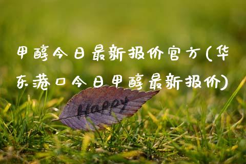 甲醇今日最新报价官方(华东港口今日甲醇最新报价) (https://huagong.lansai.wang/) 甲醇 第1张