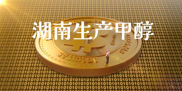 湖南生产甲醇 (https://huagong.lansai.wang/) 甲醇 第1张