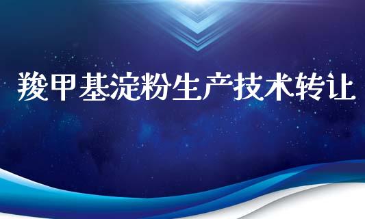 羧甲基淀粉生产技术转让 (https://huagong.lansai.wang/) 甲基化工 第1张