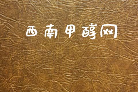 西南甲醇网 (https://huagong.lansai.wang/) 甲醇 第1张