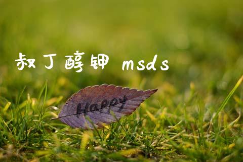 叔丁醇钾 msds (https://huagong.lansai.wang/) msds 第1张