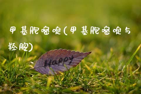 甲基胞嘧啶(甲基胞嘧啶与羟胺) (https://huagong.lansai.wang/) 甲基化工 第1张