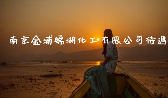 南京金浦锦湖化工有限公司待遇 (https://huagong.lansai.wang/) 化工行情 第1张