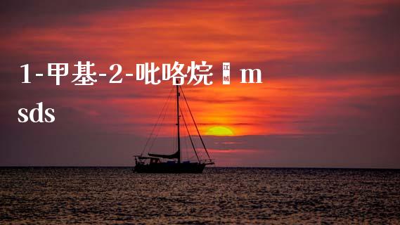 1-甲基-2-吡咯烷酮msds (https://huagong.lansai.wang/) msds 第1张