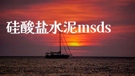 硅酸盐水泥msds (https://huagong.lansai.wang/) msds 第1张