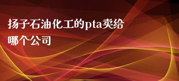 扬子石油化工的pta卖给哪个公司 (https://huagong.lansai.wang/) 化工行情 第1张