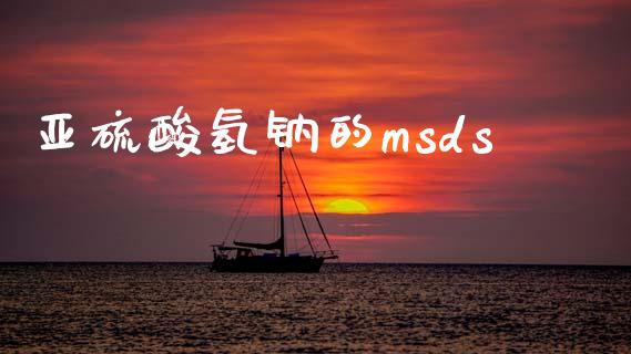 亚硫酸氢钠的msds (https://huagong.lansai.wang/) msds 第1张