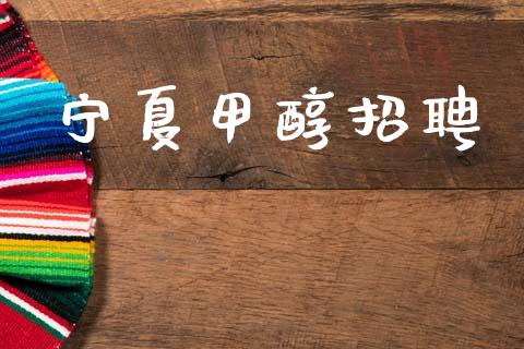 宁夏甲醇招聘 (https://huagong.lansai.wang/) 甲醇 第1张