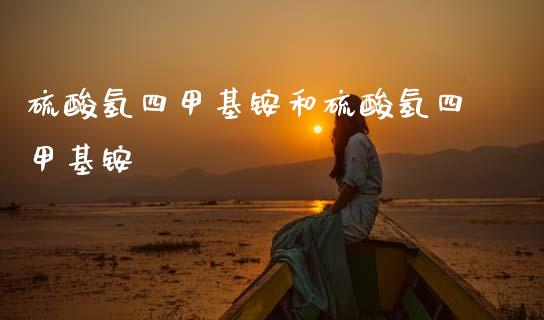 硫酸氢四甲基铵和硫酸氢四甲基铵 (https://huagong.lansai.wang/) 甲基化工 第1张